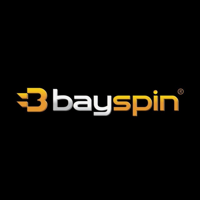 Bayspin Logo